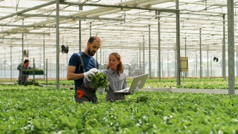 Modernizing SAP Test Automation: Driving Efficiency and Business Confidence for a Leading Agri-Business