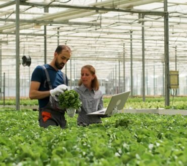 Modernizing SAP Test Automation: Driving Efficiency and Business Confidence for a Leading Agri-Business